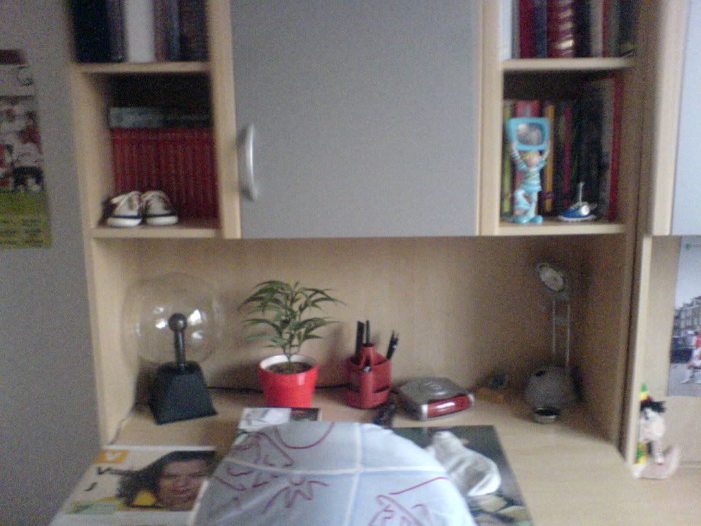 DSC00113.jpg