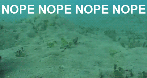 Octo-NOPE.gif