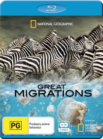 Great Migration National Geographic Wikipedia