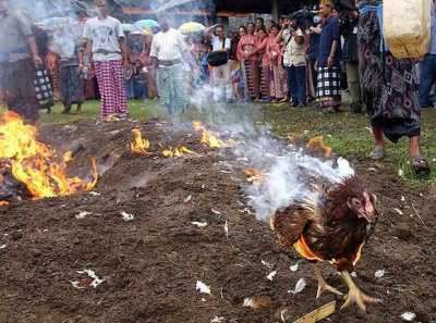 burning chicken