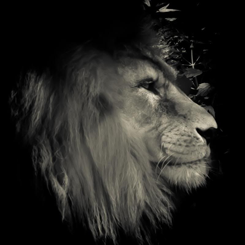 IMAGE: http://i278.photobucket.com/albums/kk102/hypoxic87/Fusion%20Photography/BrantfordZoo8of31_zps03c5a41f.jpg