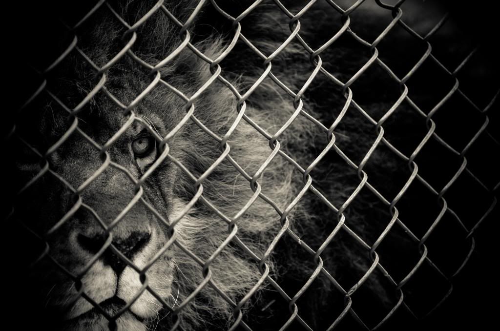 IMAGE: http://i278.photobucket.com/albums/kk102/hypoxic87/Fusion%20Photography/JCWFeb20131of28_zps0c7910e8.jpg