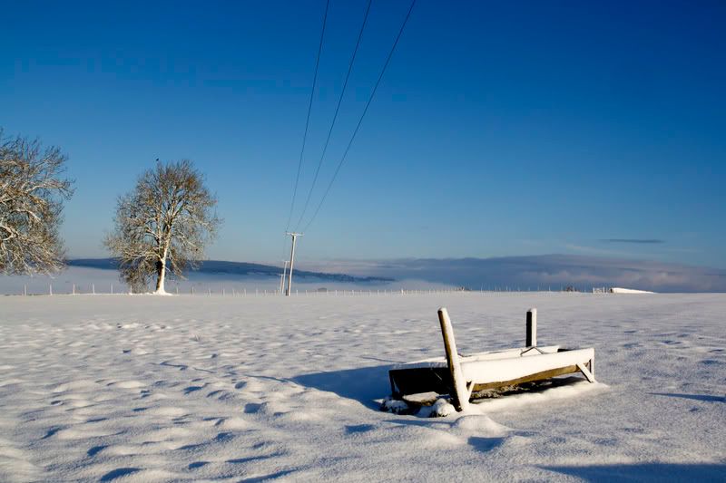 snow1pc2.jpg