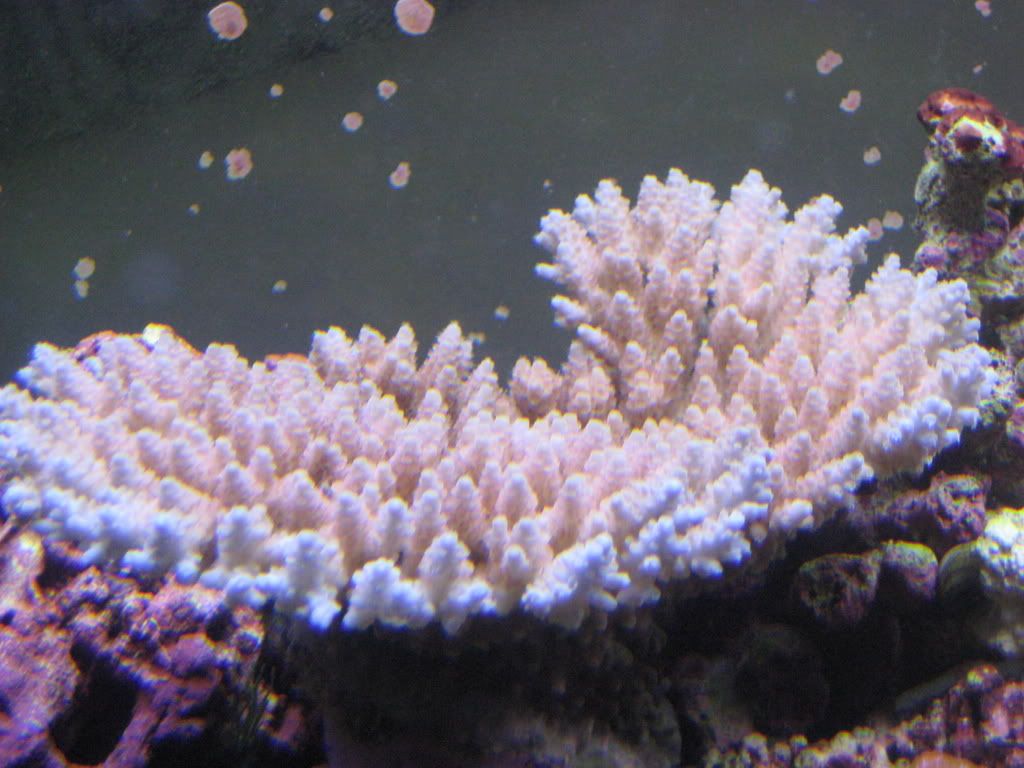 IMG_0001_4.jpg