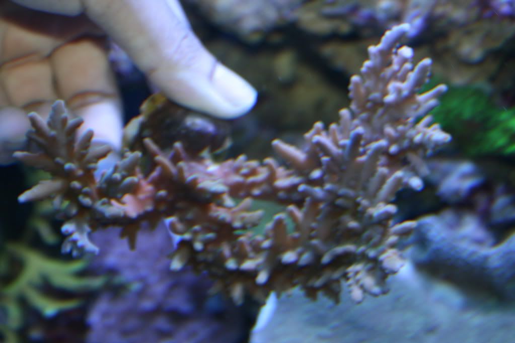 IMG_6108.jpg