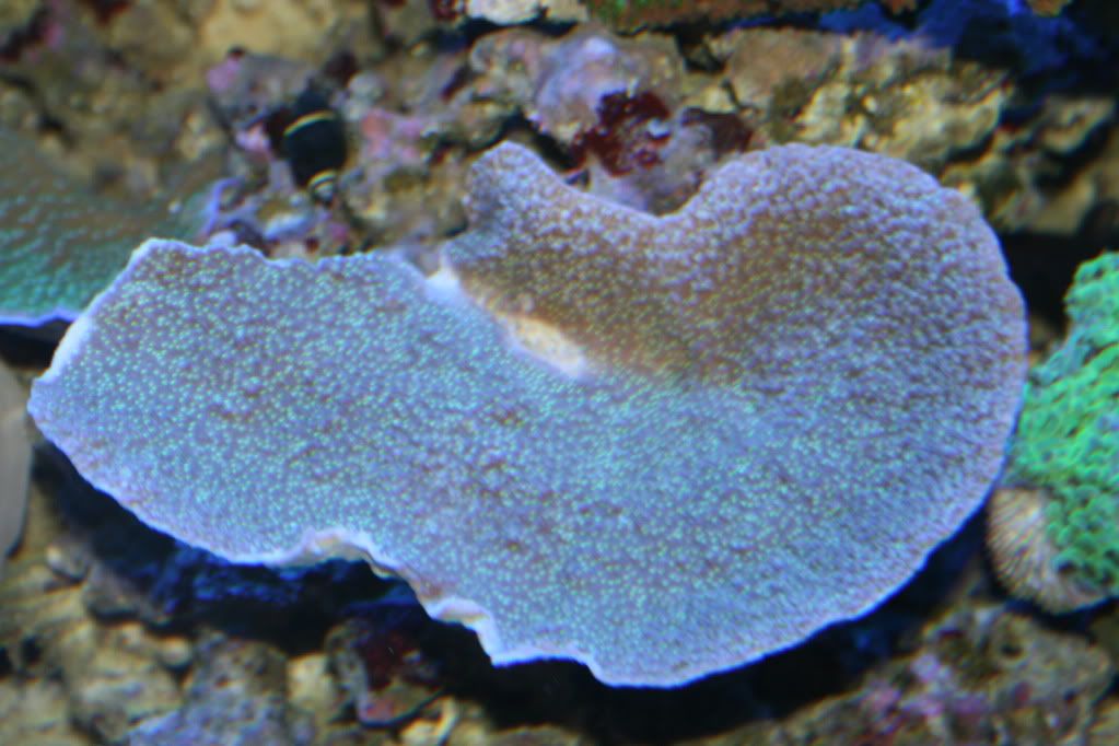 IMG_6124.jpg