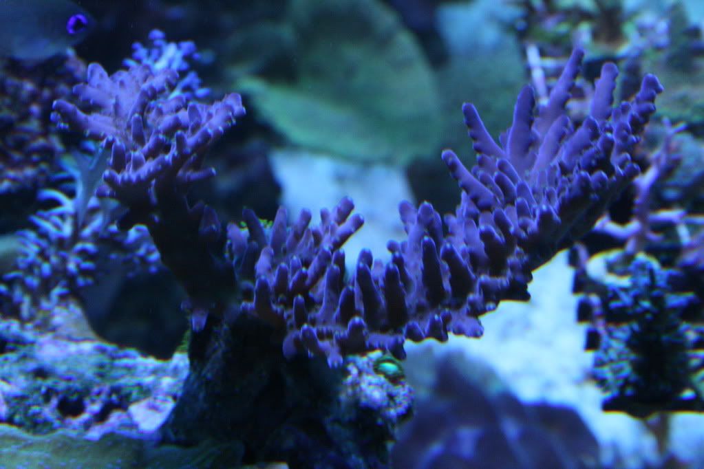 IMG_6467.jpg