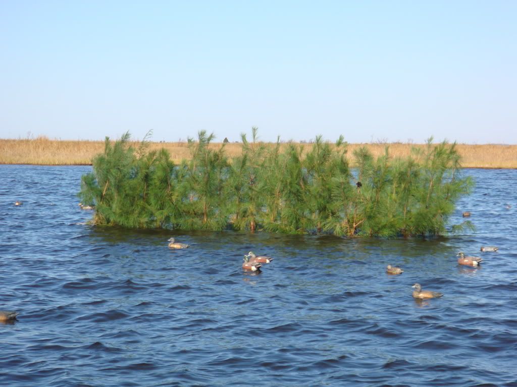 Scissor Rig Complete Duck Hunting Forum