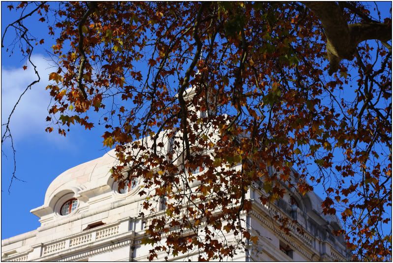 IMAGE: http://i278.photobucket.com/albums/kk104/jo5ant05/DPP_10894.jpg