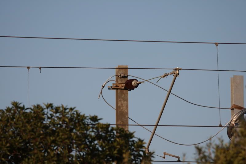 Imagem Colocada