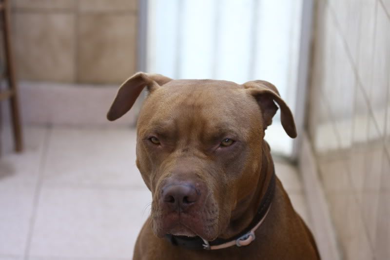 IMAGE: http://i278.photobucket.com/albums/kk104/jo5ant05/IMG_0264.jpg