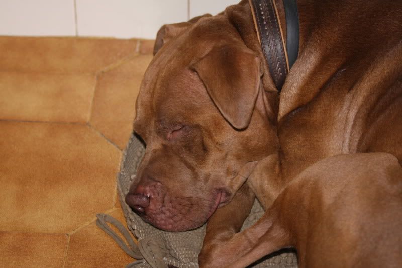 IMAGE: http://i278.photobucket.com/albums/kk104/jo5ant05/assinaturas/Uploads/IMG_0077.jpg