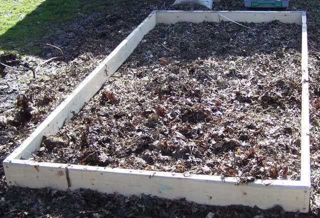 veg bed.
