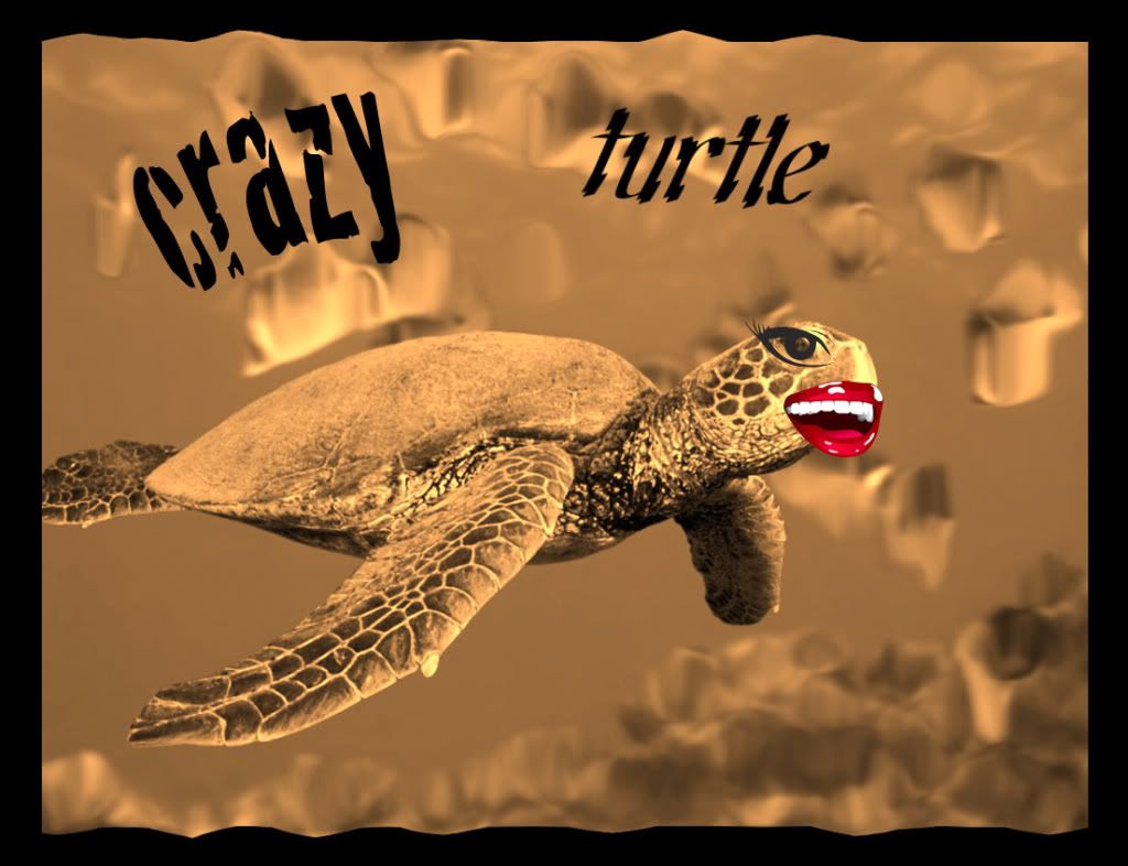 Crazy_turtle.jpg