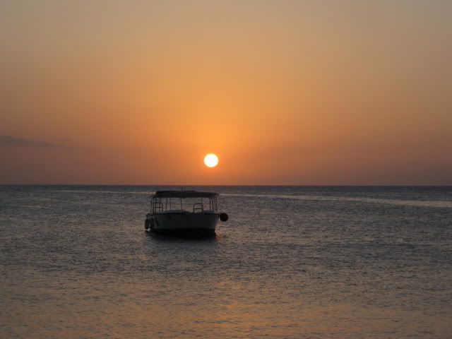 jamaica2010016.jpg