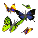 139.gif butterfly image by camille0127