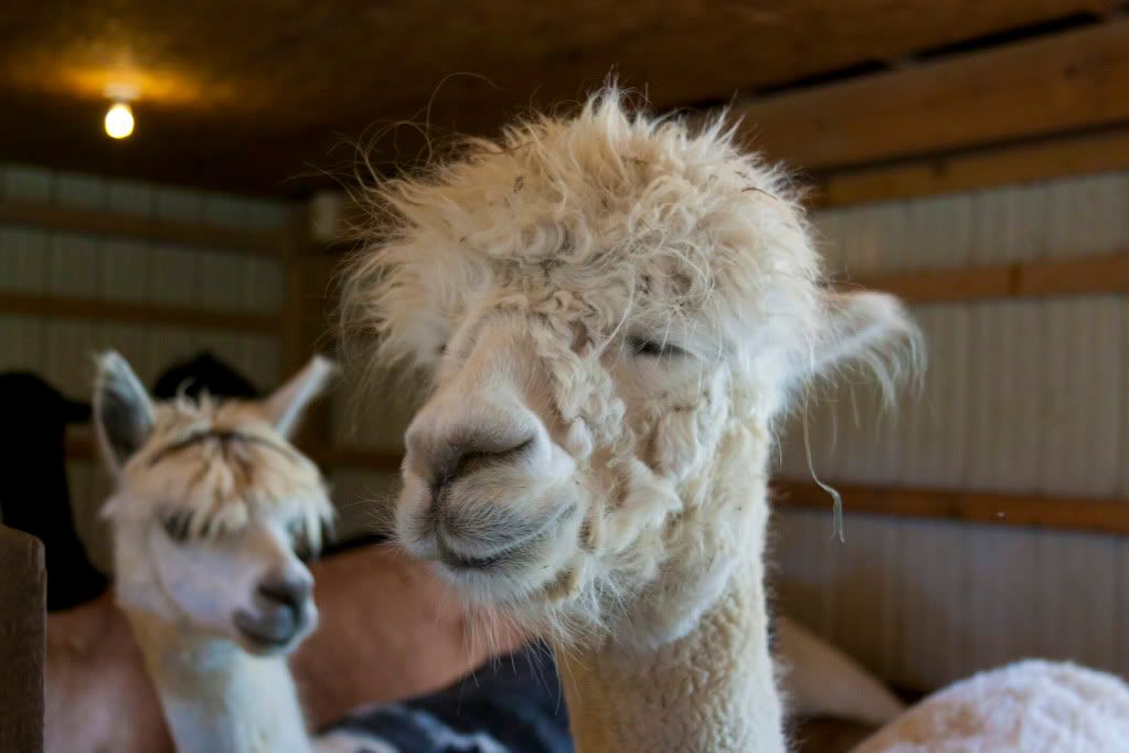 IMAGE: http://i278.photobucket.com/albums/kk109/milesd83/IMG_7565.jpg