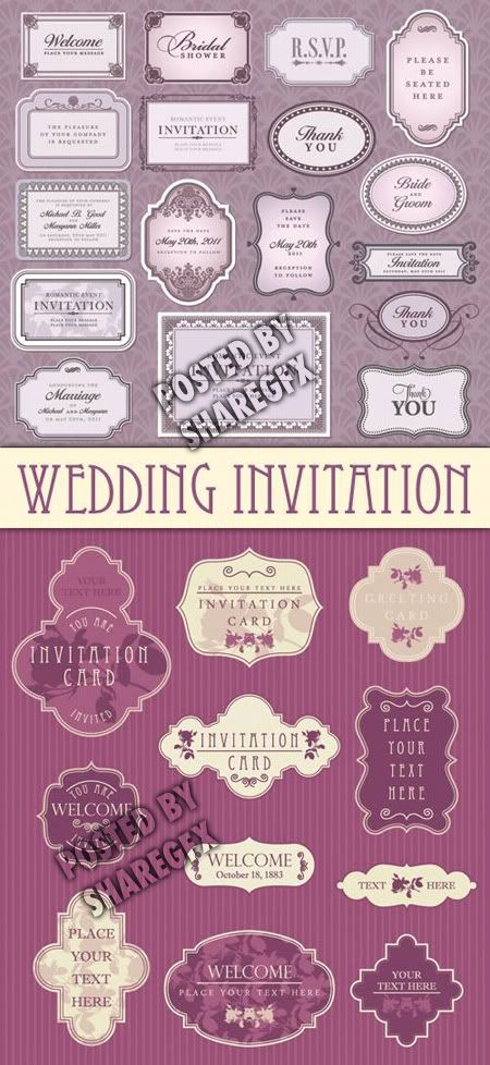 Wedding Invitation Elements Vector