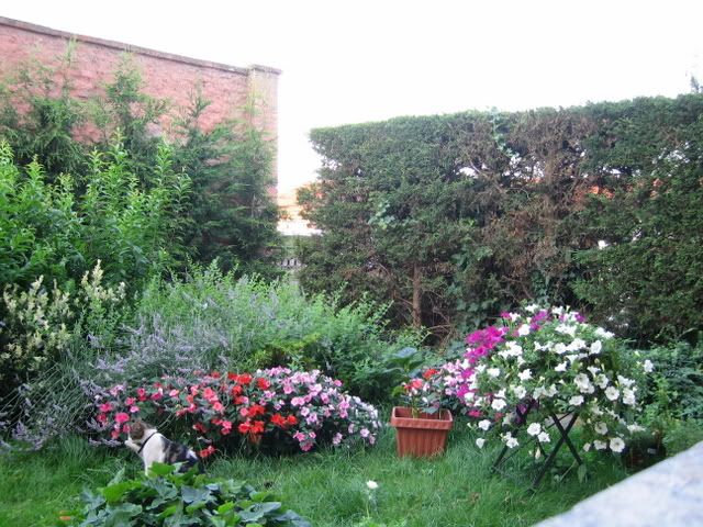 IMG_3223.jpg