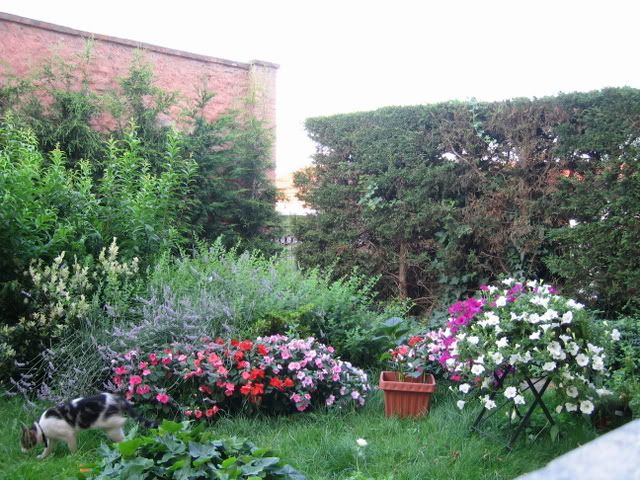 IMG_3225.jpg