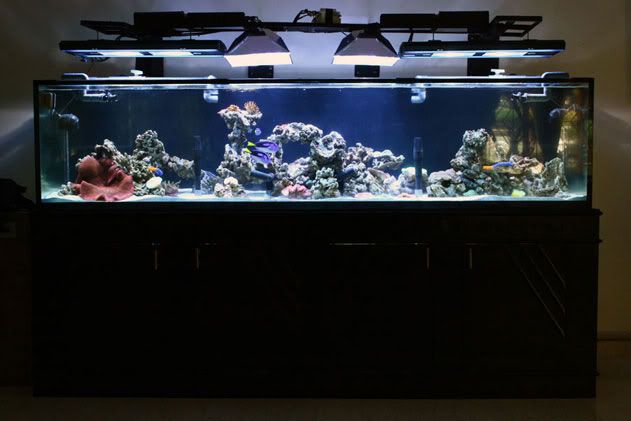 FTS-15months-1.jpg