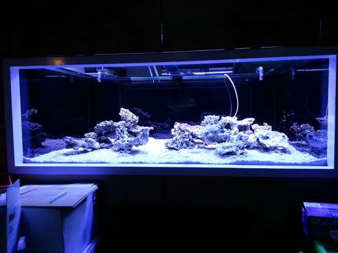 fts-1.jpg