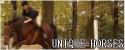 UNIQUE HORSES
