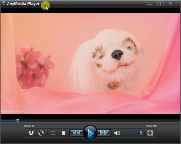 AnyMedia Player is bundled with RipTiger AnyMedia Player is bundled with RipTiger