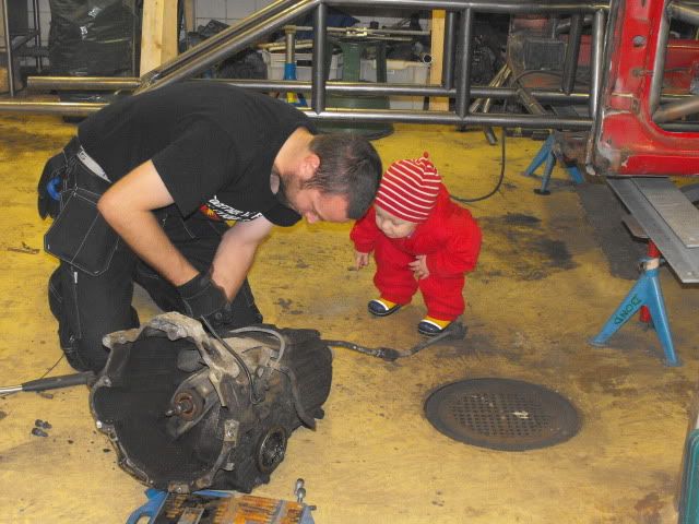 Bild