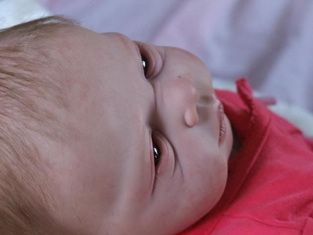 resized brooke