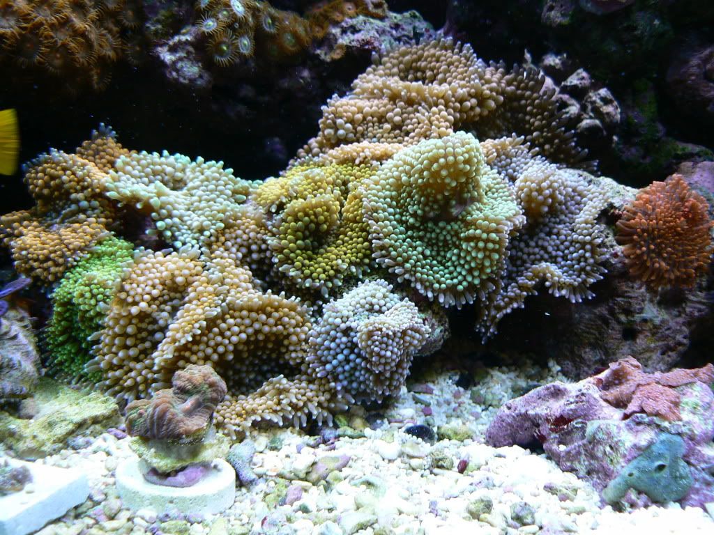P1090333.jpg