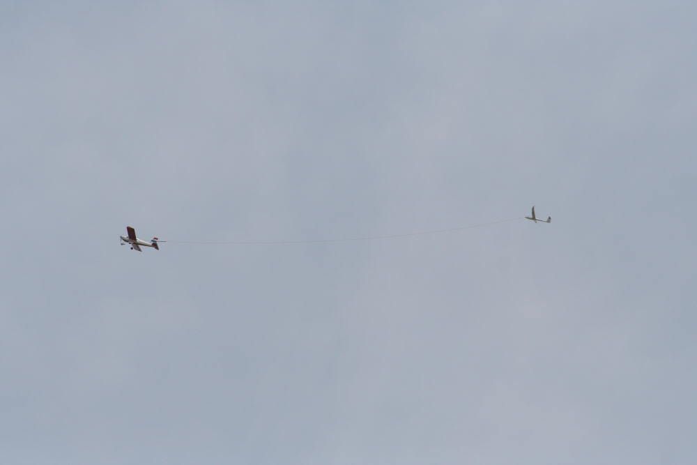 lelystad14.jpg