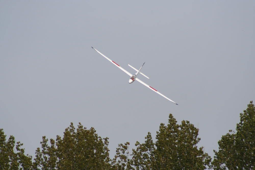 lelystad6.jpg