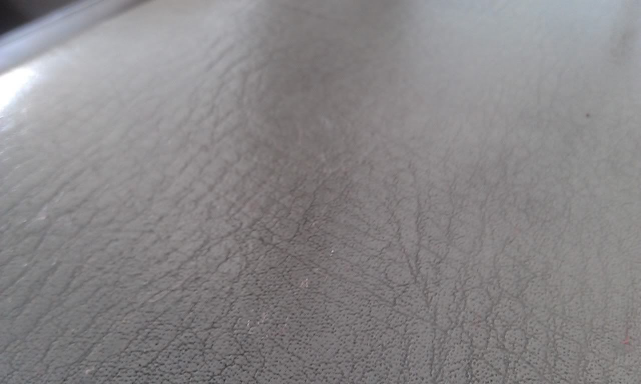 IMAG0185.jpg