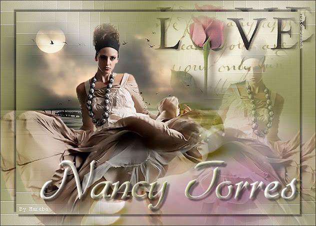 NANCYTORRES.jpg NANCY picture by mareba2008