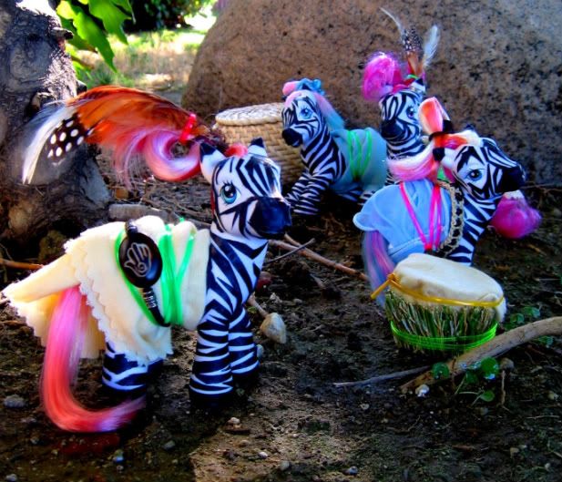 zebras1-3-1.jpg