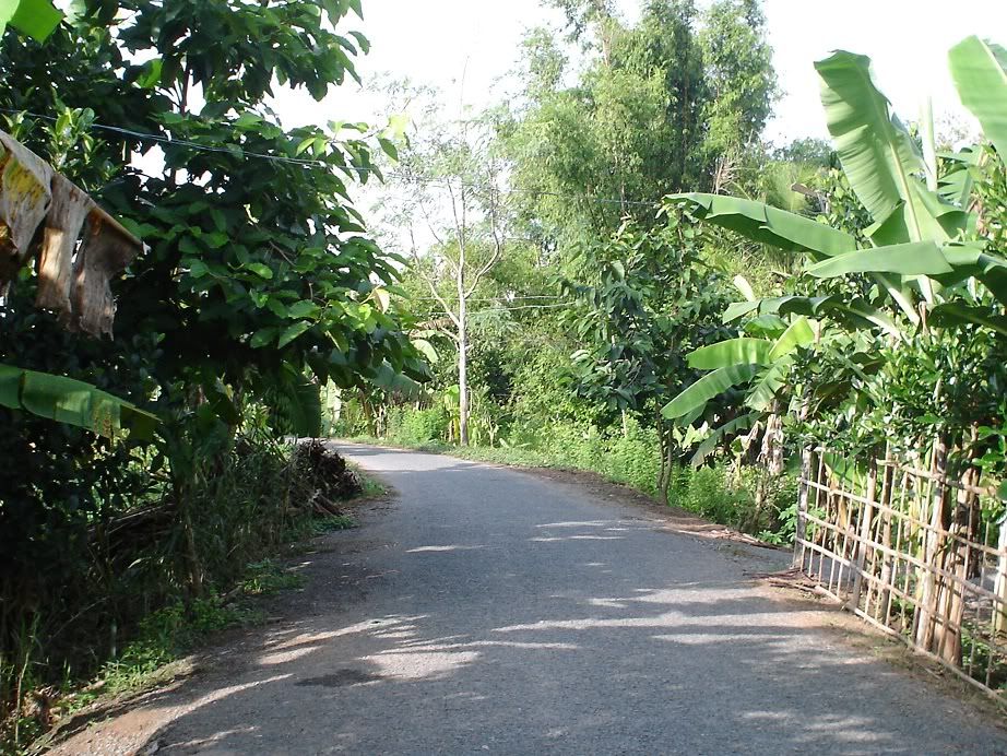 Phút bình yên của cuộc sống. - 8