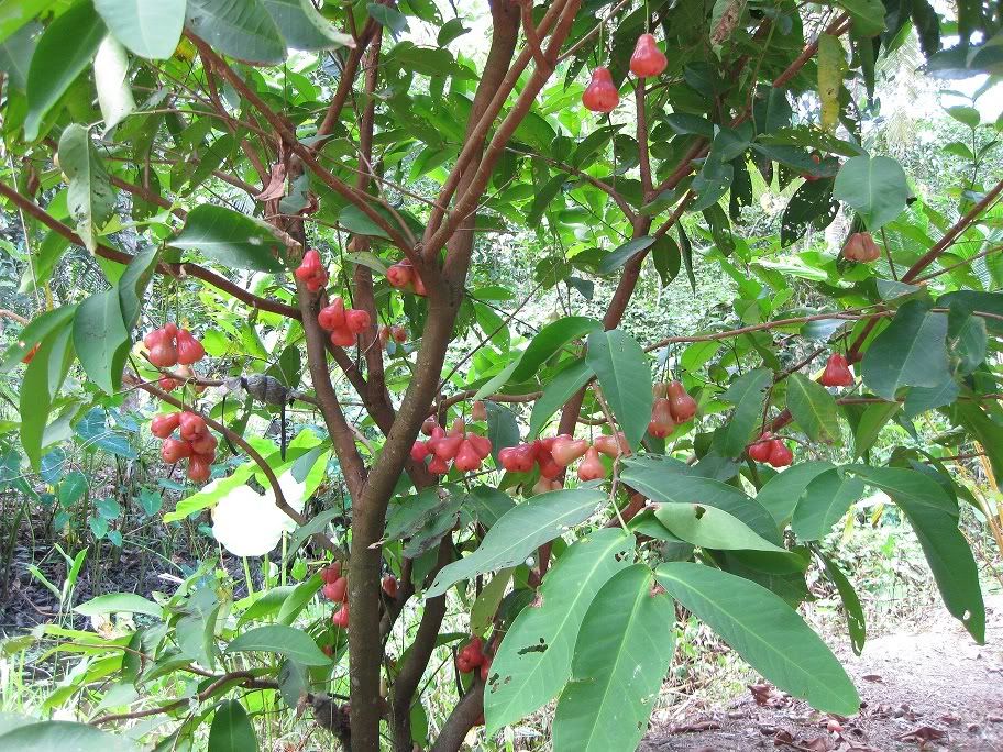 Phút bình yên của cuộc sống. - 4