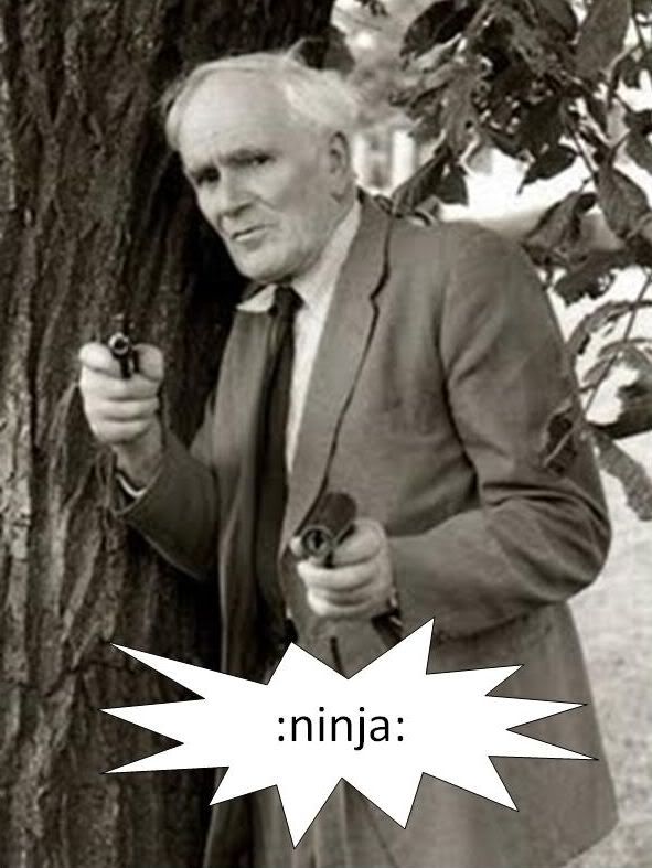 ninja.jpg