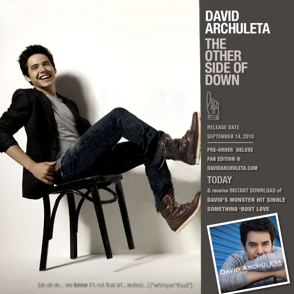 david archuleta / the other side of down新砖十首cd版