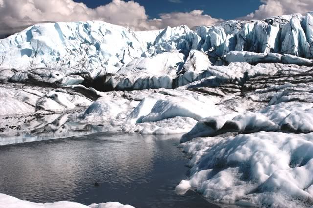 IMAGE: http://i278.photobucket.com/albums/kk119/g8trgr8t/Alaska2010/IMG_3707.jpg