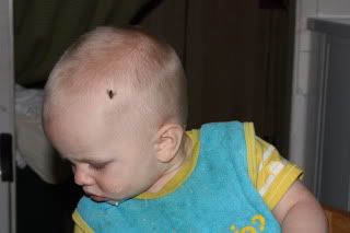 vlieg op me hoofd :P