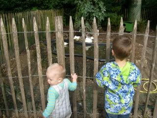 op de kinderboerderij