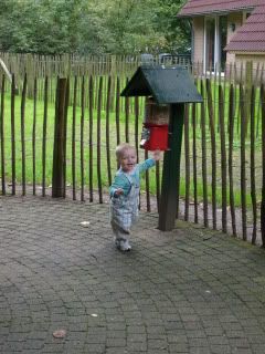 mama, schaapje voeren!!