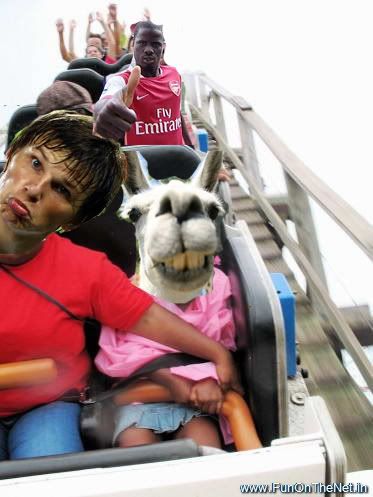 arshavin.jpg