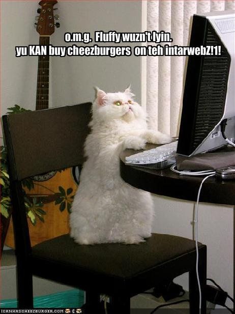funny-pictures-cat-realizes-he-can-.jpg