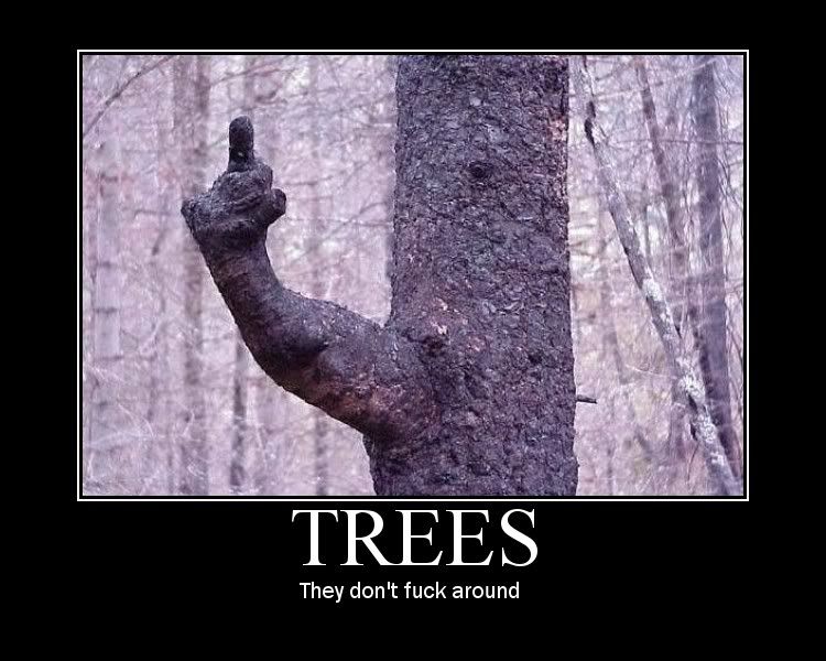 Forum Image: http://i278.photobucket.com/albums/kk83/marllyput/TreeMotivator.jpg