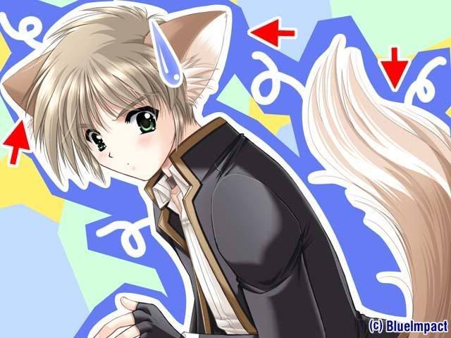 Forum Image: http://i278.photobucket.com/albums/kk83/marllyput/foxboysweat.jpg