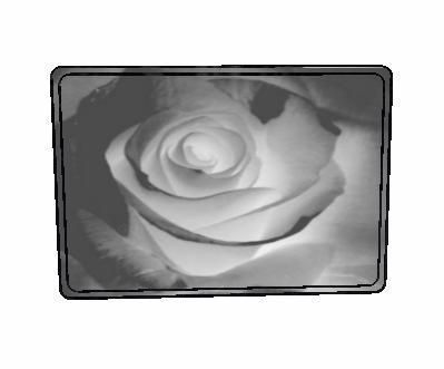  photo Dream Rose Painting.jpg