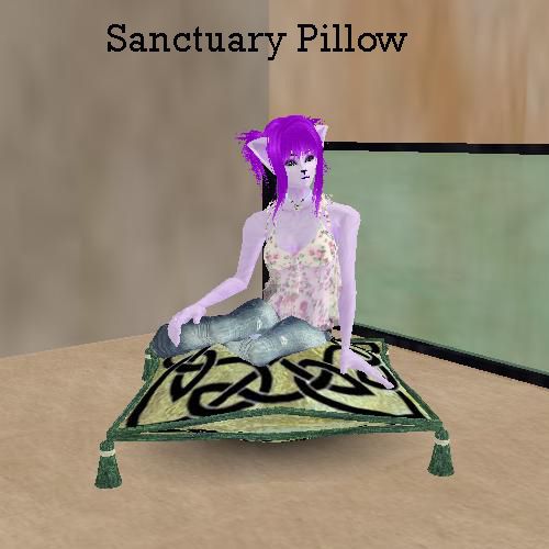  photo Sanctuary Pillow.jpg
